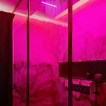T2 Luxe&cosy - Romantique - à 50m Appartamento Canet-en-Roussillon