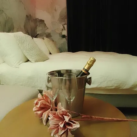 公寓 Romantique Premium A 50m De La 卡内